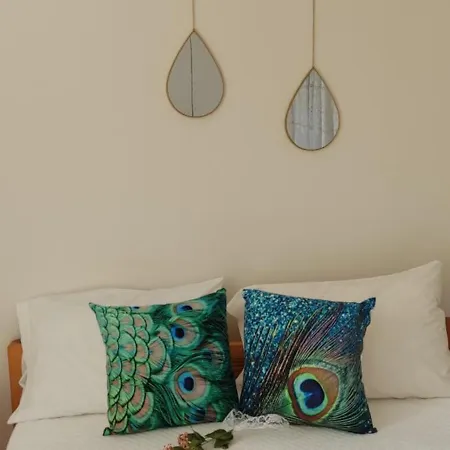 Apartment Elerin Agia Efimia